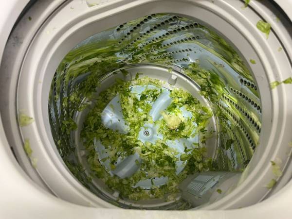 「まじ最悪なんだけど！」　自宅で起きた悲劇に「あるあ…ないよ」「理解が追い付かない」