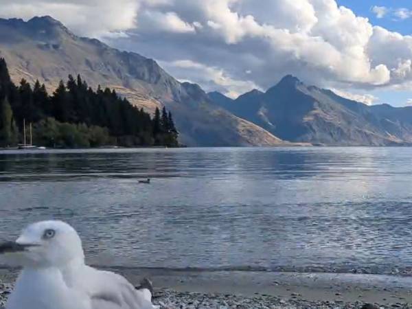 湖の風景を動画で撮影　再生したら「吹き出したわ！」「腹筋崩壊しそう！」