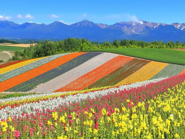 観光協会が一部観光客のマナーを問題視　内容に「ひどい」「どうして」