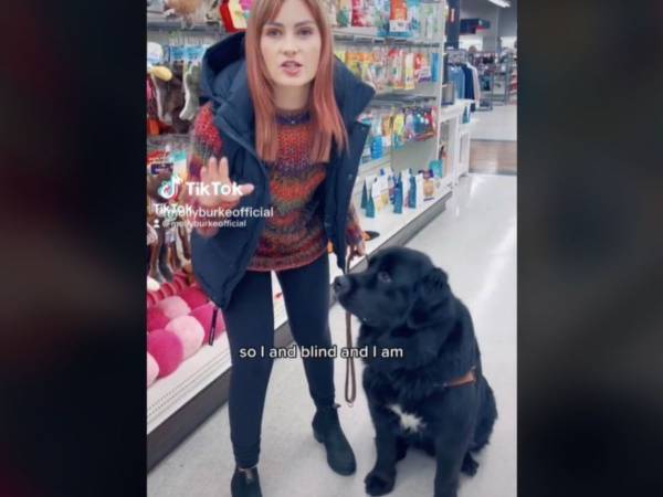 ある意味…優秀？　店内で突然、立ち止まった盲導犬　理由に「大笑いした」