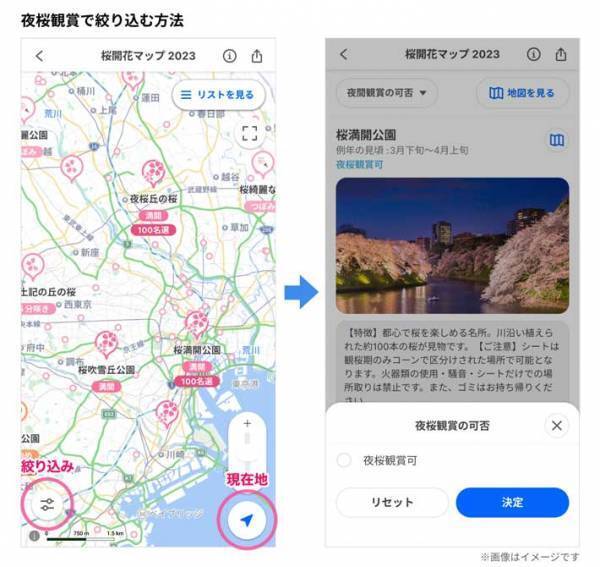『桜を１日中楽しめるサービス』がスタート！　２０２３年５月まで毎日更新
