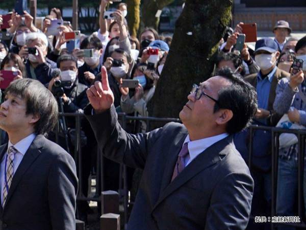 「ほのぼのした」「こういうのいいね」　桜の開花宣言を行った、気象庁職員に称賛の声