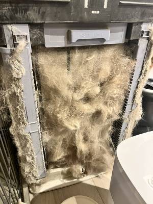 家電を掃除しようとしたら「ヒイッ！」　衝撃的な光景に「五度見したわ！」「自分なら絶叫する」