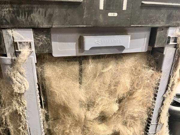 家電を掃除しようとしたら「ヒイッ！」　衝撃的な光景に「五度見したわ！」「自分なら絶叫する」