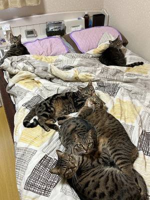 夕方まで昼寝した女性　目覚めた時の光景に「ここが天国か！？」「頼む、代わってくれ！」