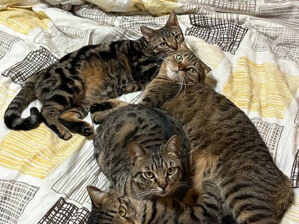 夕方まで昼寝した女性　目覚めた時の光景に「ここが天国か！？」「頼む、代わってくれ！」