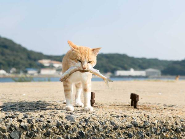 「５回くらい見た」　厚生労働省のユーモアに富んだ注意喚起にクスッ！