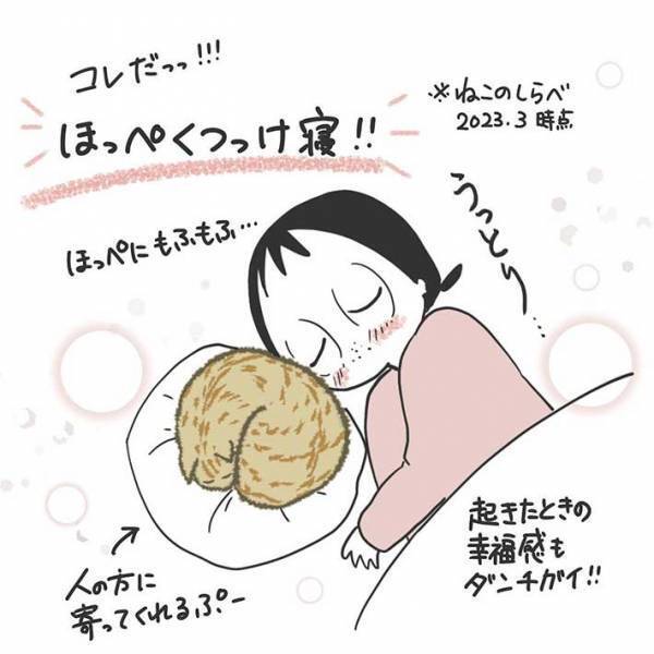 「重たいものがスーッと消える」　ある女性が「幸福度が一番高い」とつづる、最高の『寝方』とは