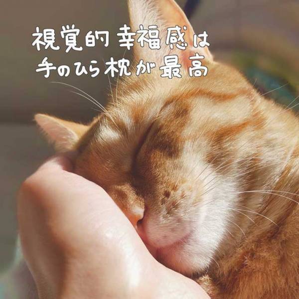 「重たいものがスーッと消える」　ある女性が「幸福度が一番高い」とつづる、最高の『寝方』とは