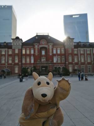 「震えが止まらないんですが…」　大切なぬいぐるみが行方不明！　大捜索の結末に１０万いいね