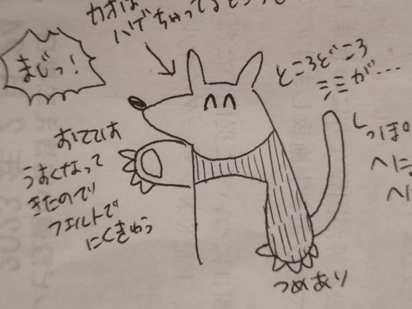 「震えが止まらないんですが…」　大切なぬいぐるみが行方不明！　大捜索の結末に１０万いいね