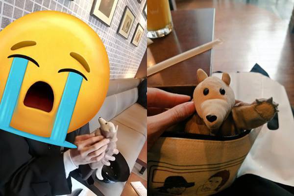 「震えが止まらないんですが…」　大切なぬいぐるみが行方不明！　大捜索の結末に１０万いいね