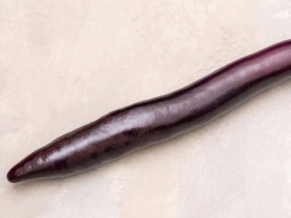 羽海野チカ「ナス、なが～い！」　写真に「初めて見るサイズに笑った」「ウナギかな？」