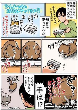 「ある意味賢い」　手作りの『知育おもちゃ』を愛猫にプレゼント　予想外の行動を取って？