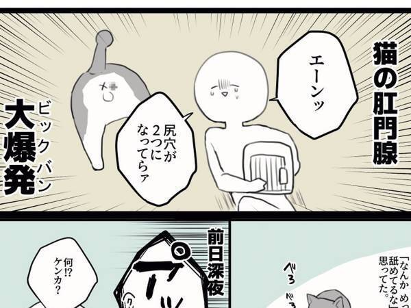 突然『爆発』した愛猫のお尻　ゾッとする理由に「本当に注意したい」「うちの子もなった！」