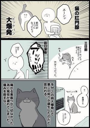 突然『爆発』した愛猫のお尻　ゾッとする理由に「本当に注意したい」「うちの子もなった！」