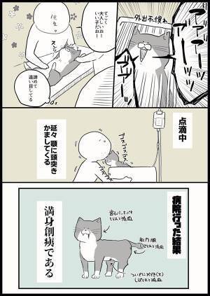 突然『爆発』した愛猫のお尻　ゾッとする理由に「本当に注意したい」「うちの子もなった！」