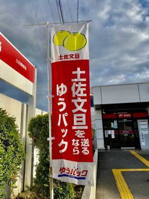 「『現金送れ』はすべて詐欺です」　では、『土佐文旦送れ』は…？