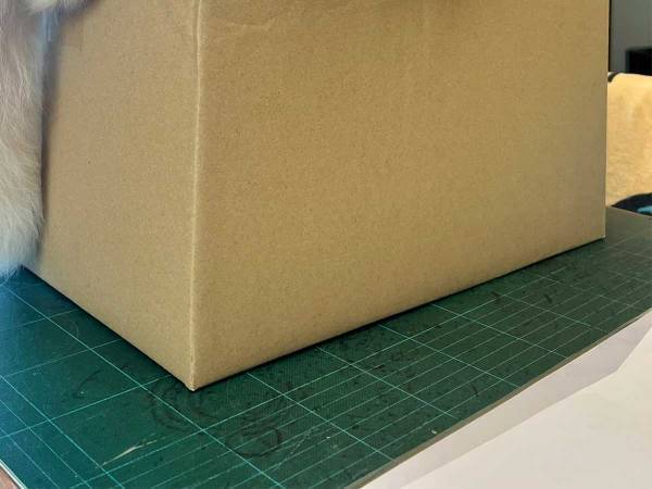 「午前中指定で届けてもらったのに、開けられそうにありません」　理由に納得！