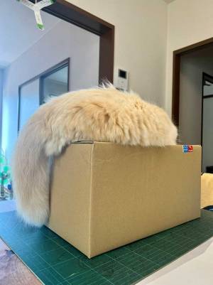 「午前中指定で届けてもらったのに、開けられそうにありません」　理由に納得！