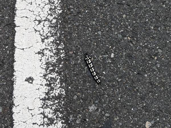 「誰だよ、落としたやつ！」　毛虫かと思って飛び跳ねたら、まさかの『正体』に爆笑！