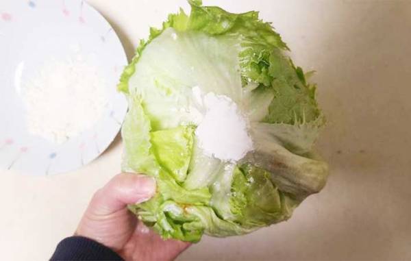 すぐしなびるレタス　『あの粉』を芯にちょっと付けるだけで？　「全然違う」「シャキシャキ！」