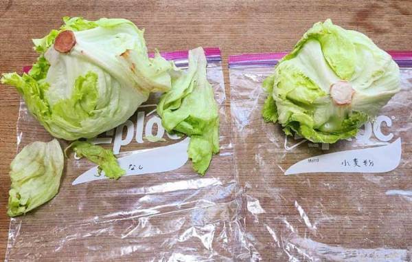 すぐしなびるレタス　『あの粉』を芯にちょっと付けるだけで？　「全然違う」「シャキシャキ！」