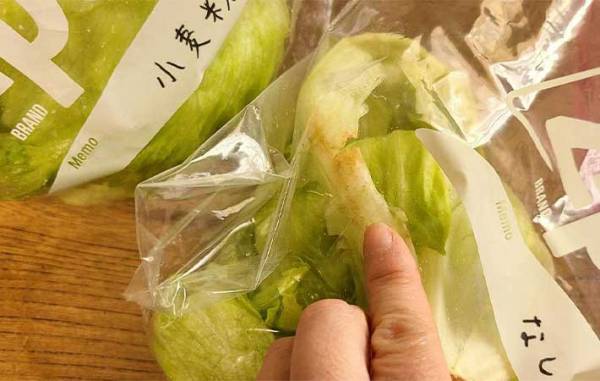 すぐしなびるレタス　『あの粉』を芯にちょっと付けるだけで？　「全然違う」「シャキシャキ！」