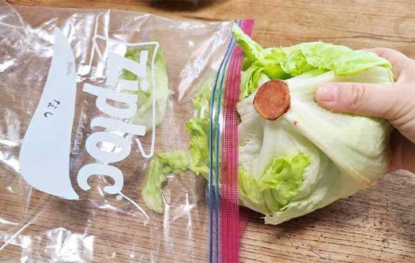 すぐしなびるレタス　『あの粉』を芯にちょっと付けるだけで？　「全然違う」「シャキシャキ！」