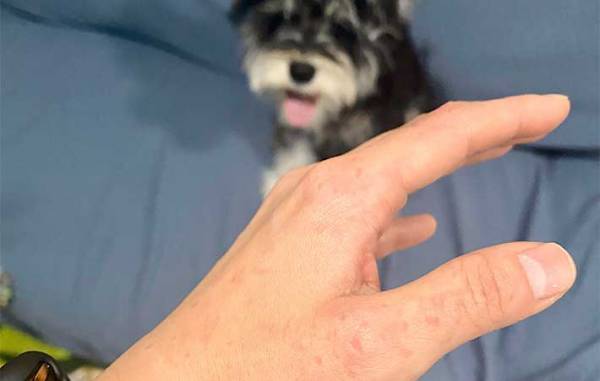 犬の噛み癖を直したい飼い主　『かまれたら姿を消せ』を実践した結果？　「なんてこった」「策士だ」