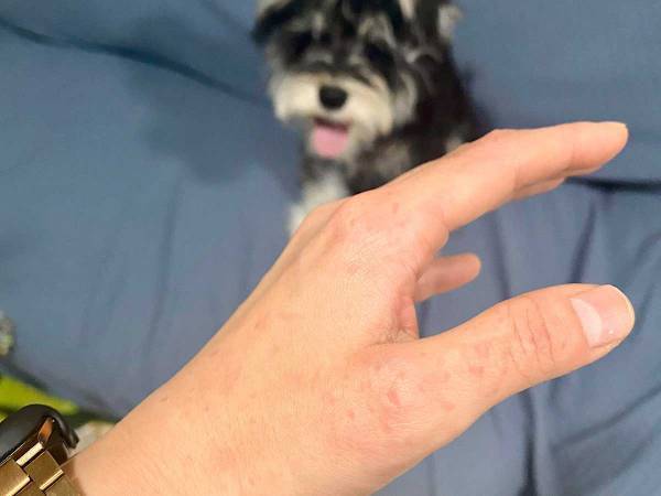 犬の噛み癖を直したい飼い主　『かまれたら姿を消せ』を実践した結果？　「なんてこった」「策士だ」