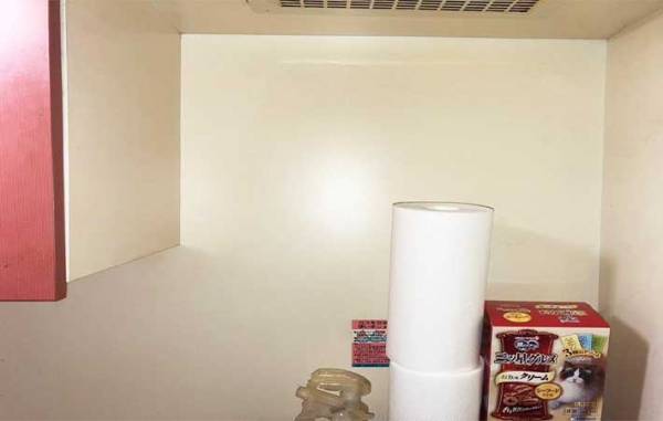 トイレ内のデッドスペース　１００均の突っ張り棒を使った『収納テク』に感動