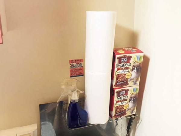 トイレ内のデッドスペース　１００均の突っ張り棒を使った『収納テク』に感動