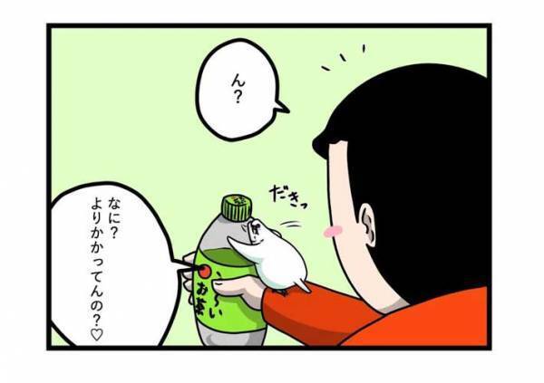 インコの『戦闘力』に驚き　飼い主がペットボトルを持っていると？　「どこからそんな力が」