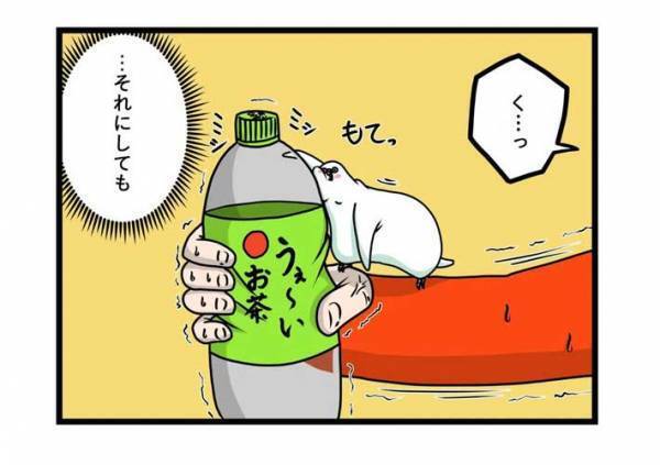 インコの『戦闘力』に驚き　飼い主がペットボトルを持っていると？　「どこからそんな力が」