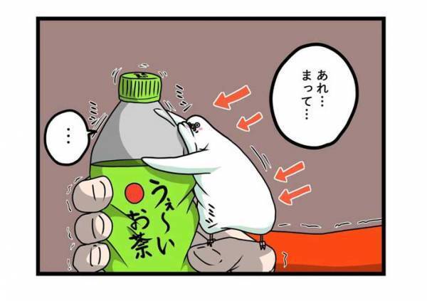 インコの『戦闘力』に驚き　飼い主がペットボトルを持っていると？　「どこからそんな力が」