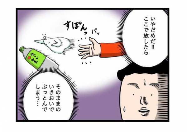 インコの『戦闘力』に驚き　飼い主がペットボトルを持っていると？　「どこからそんな力が」