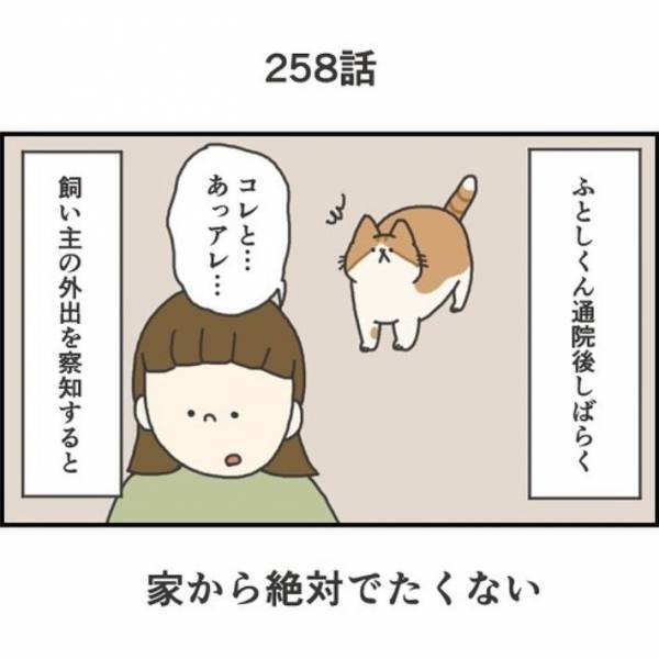 「隠れられてない」「殺気すら感じる」　絶対に外出したくない猫の姿がこちら！