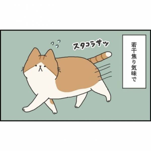 「隠れられてない」「殺気すら感じる」　絶対に外出したくない猫の姿がこちら！