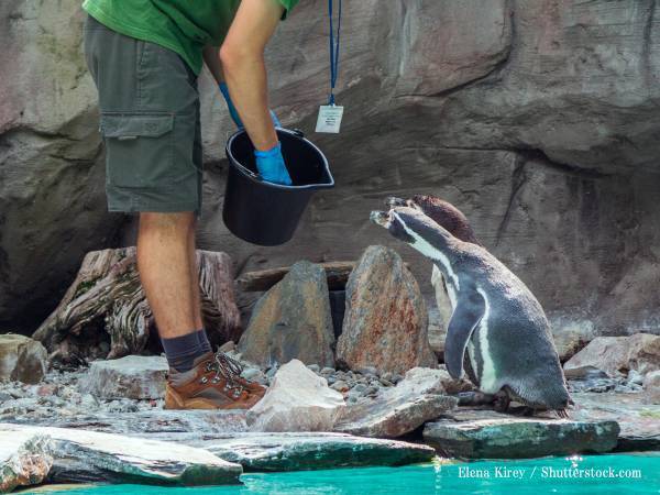 那須どうぶつ王国、撮影に来た『スッキリ』に『遺憾の意』　「酷すぎる」「見ていて絶句した」