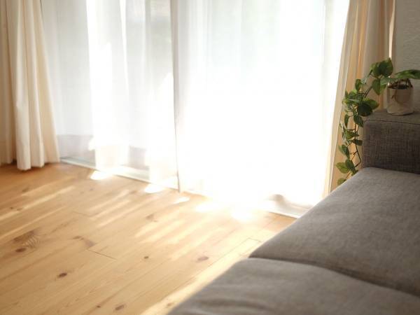 正解はつけ置き洗いだった！　カーテンの正しいお手入れ方法に「先週やった」「うれしい」