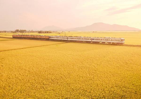 「ドラマがある」「感動した」　ポスターのような鉄道写真がネットで話題に