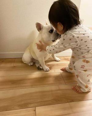 「こういう光景だけを見ていたい」　フレンチブルドッグと赤ちゃんが寝る前に…！