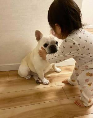 「こういう光景だけを見ていたい」　フレンチブルドッグと赤ちゃんが寝る前に…！