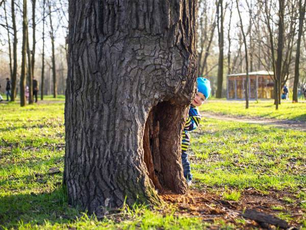 かくれんぼをしている男の子　斬新な『隠れ場所』に鬼も吹き出す！