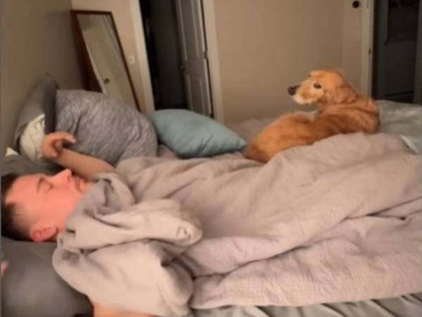 飼い主「そろそろ寝るか」　それを見た愛犬の『行動』に吹き出す！　「おちゃめすぎる」