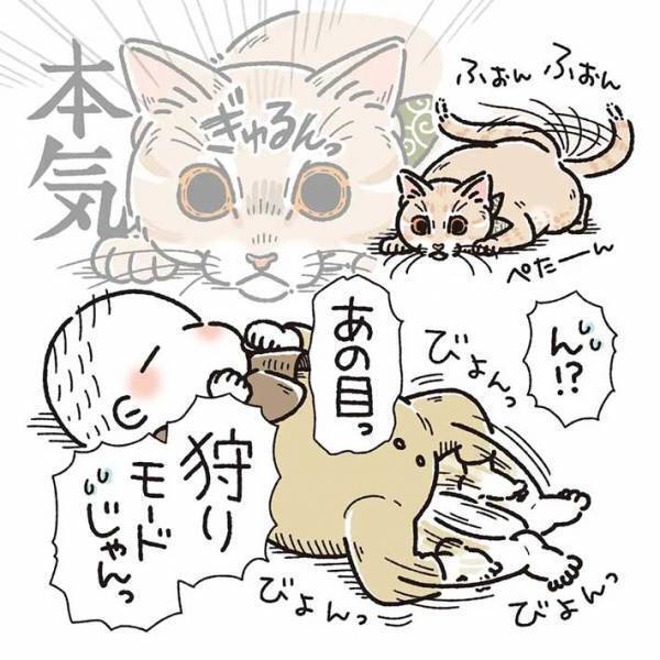 赤ちゃんに飛びかかった猫　その後の行動に「キュンとしてしまった」