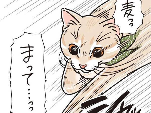 赤ちゃんに飛びかかった猫　その後の行動に「キュンとしてしまった」