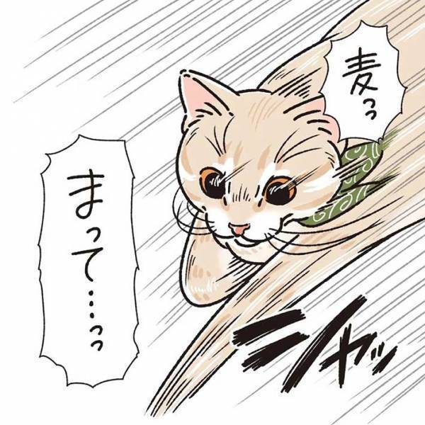 赤ちゃんに飛びかかった猫　その後の行動に「キュンとしてしまった」