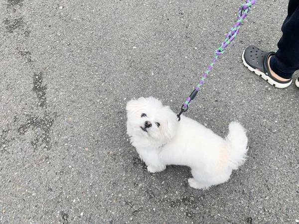 「触ってもいいですか」と聞いてきた小学生　その後の発言に、耳を疑う